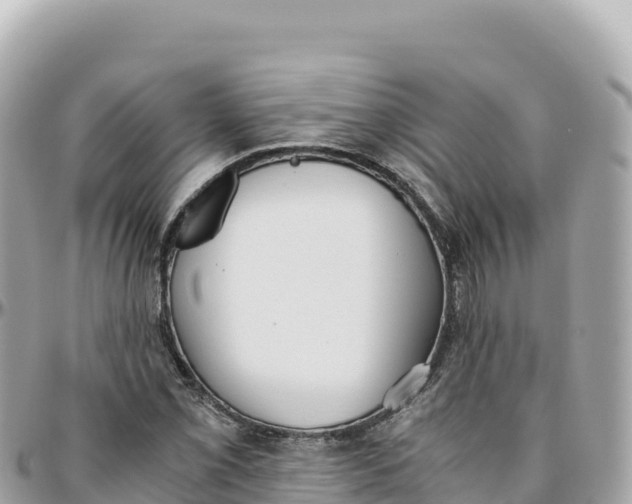 X0000095891069200801251157