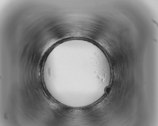 X0000095891070200801251157