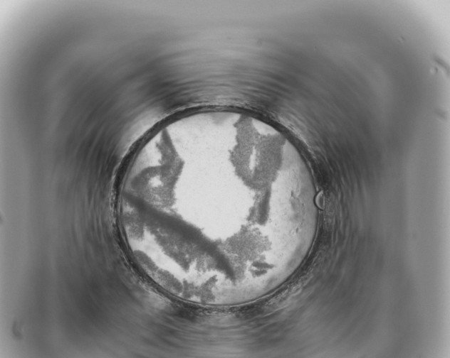 X0000095891071200801251157