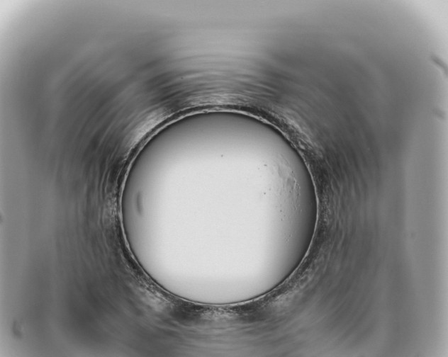 X0000095891073200801251157