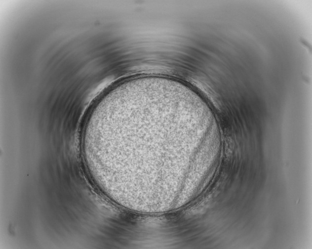 X0000095891074200801251157