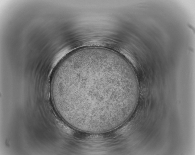 X0000095891075200801251157