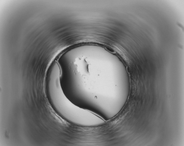 X0000095891076200801251157