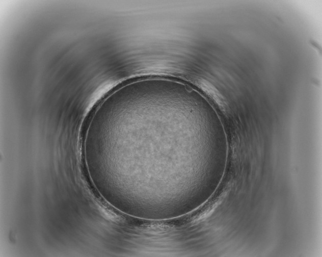 X0000095891077200801251157