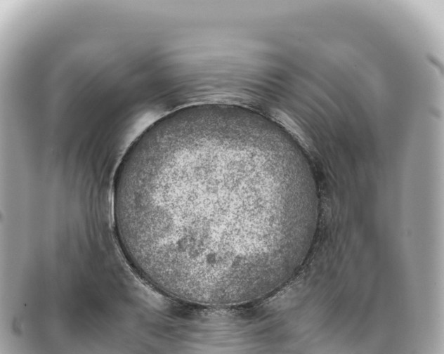 X0000095891079200801251157