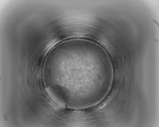 X0000095891081200801251157