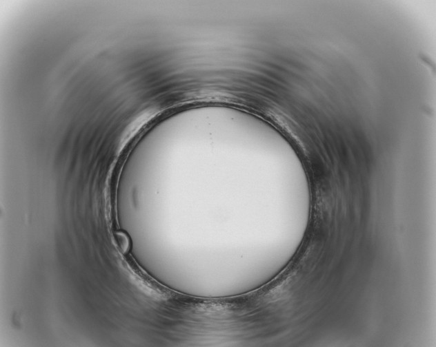 X0000095891082200801251157