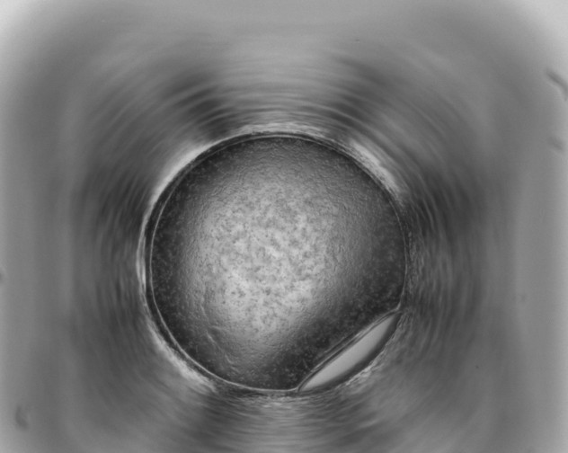 X0000095891084200801251157