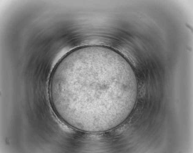 X0000095891086200801251157