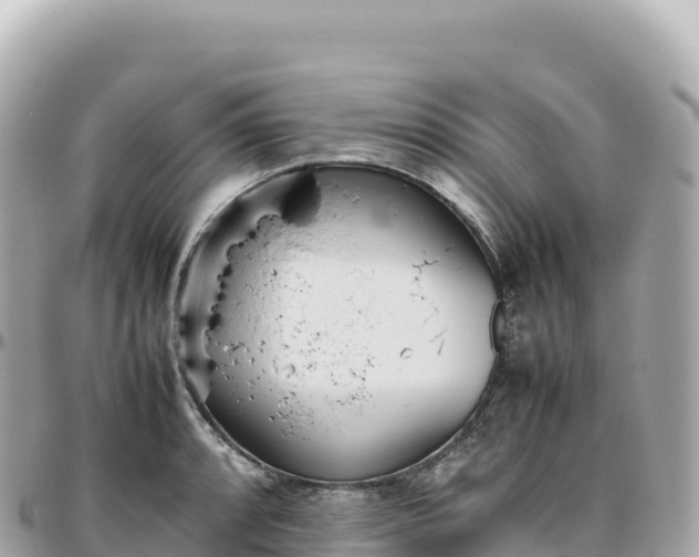 X0000095891088200801251157