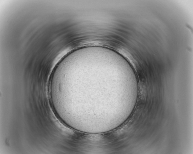 X0000095891090200801251157
