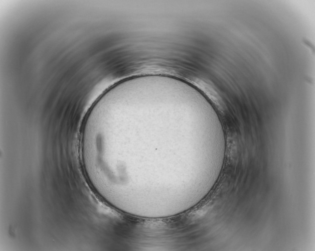X0000095891094200801251157
