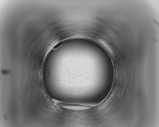 X0000095891097200801251157