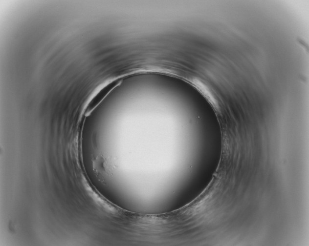 X0000095891100200801251157