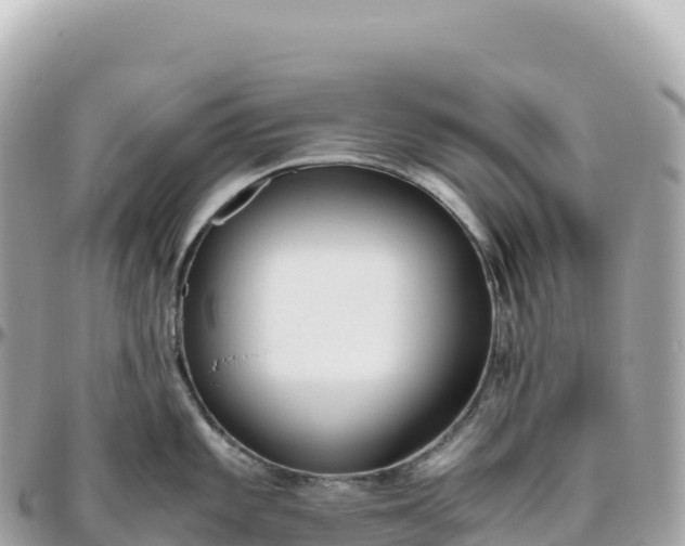 X0000095891101200801251157