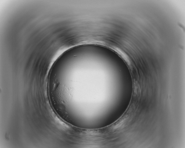 X0000095891102200801251157