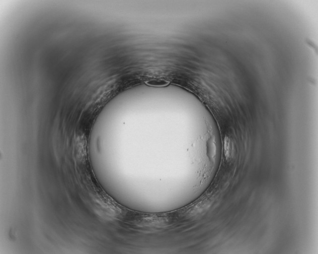 X0000095891107200801251156