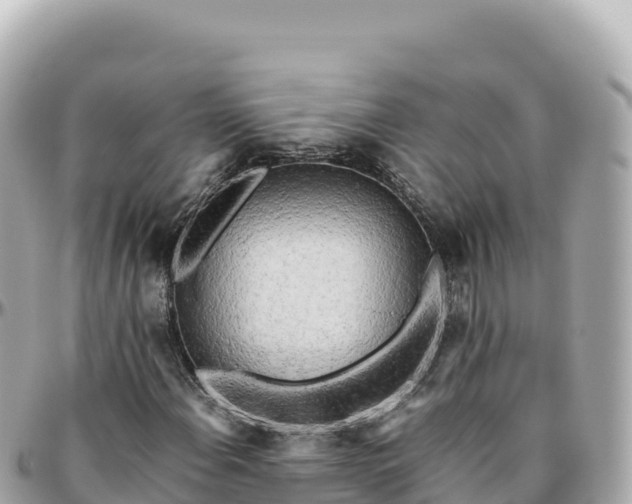 X0000095891108200801251156