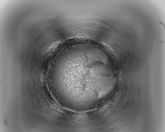 X0000095891110200801251156