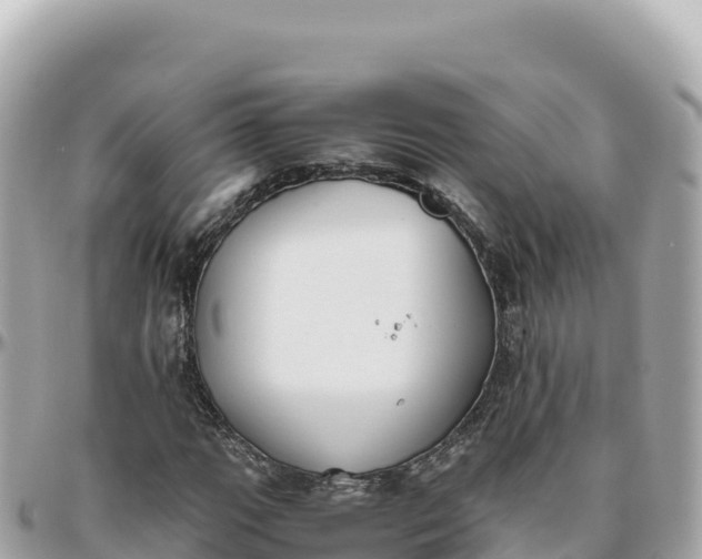 X0000095891111200801251156