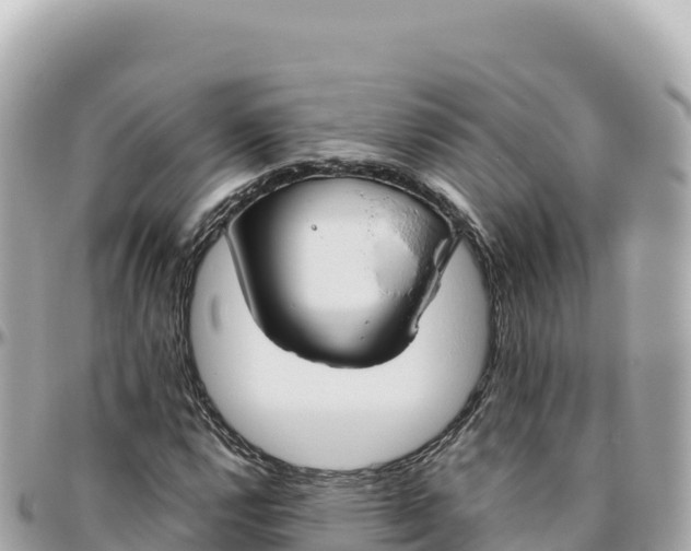 X0000095891112200801251156
