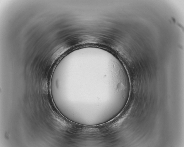 X0000095891113200801251156