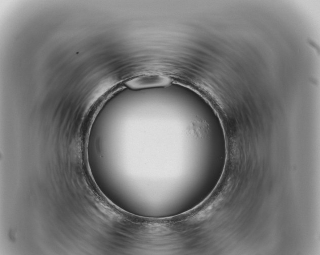 X0000095891114200801251156