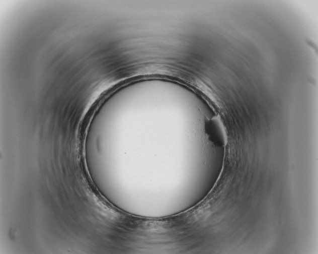 X0000095891116200801251156