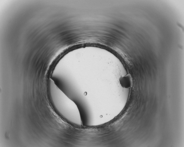 X0000095891118200801251156