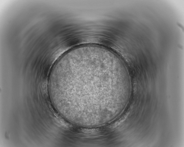 X0000095891121200801251156