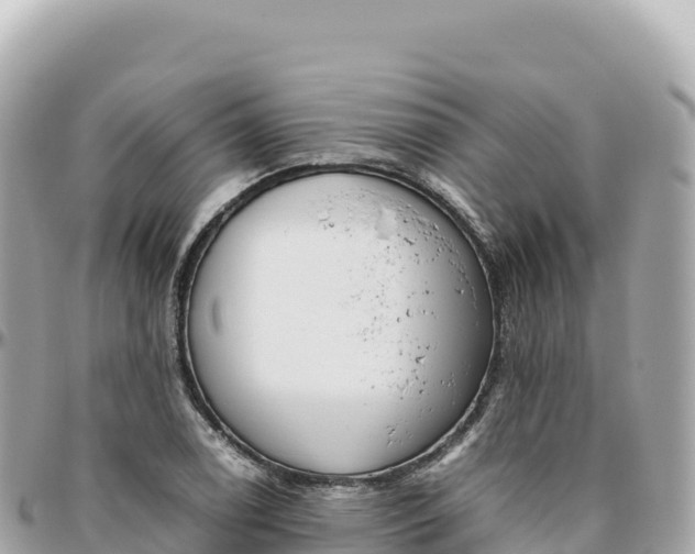 X0000095891122200801251156