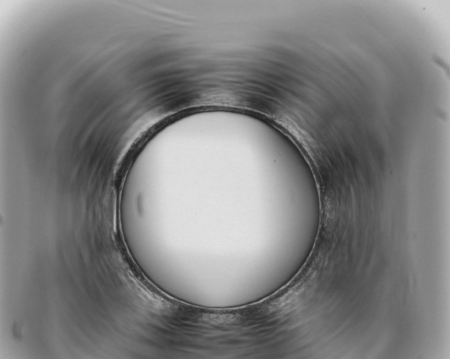 X0000095891123200801251156
