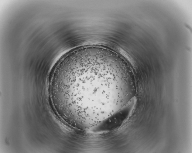 X0000095891124200801251156