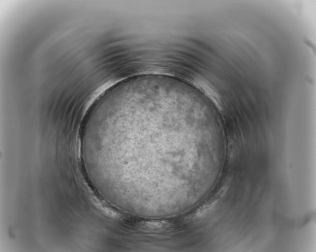X0000095891125200801251156