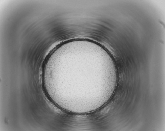 X0000095891126200801251156