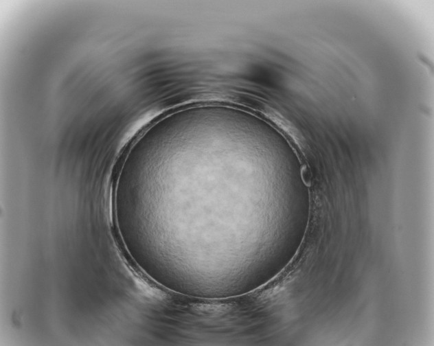X0000095891127200801251156