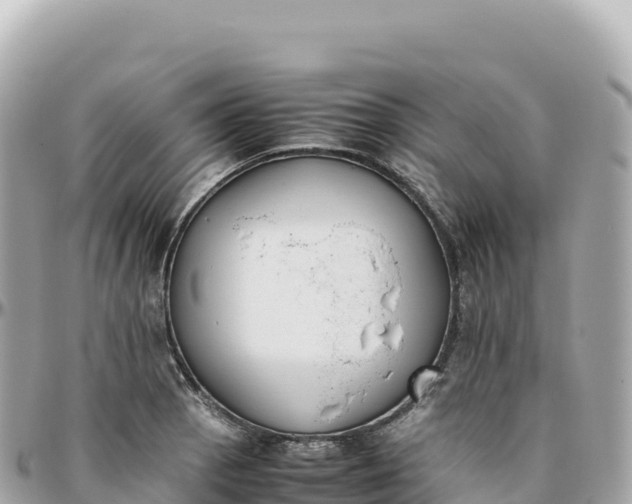 X0000095891129200801251156