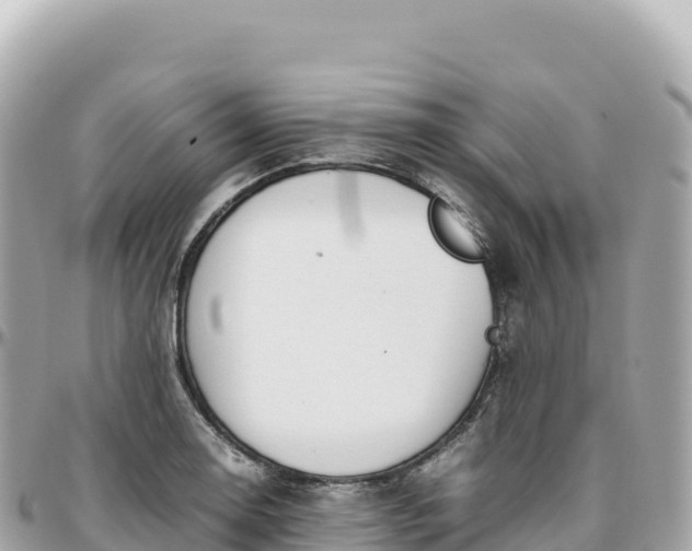 X0000095891130200801251156