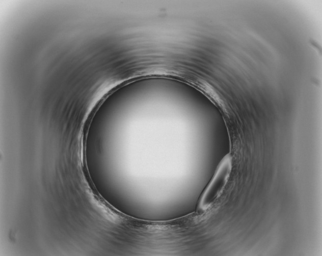 X0000095891132200801251156