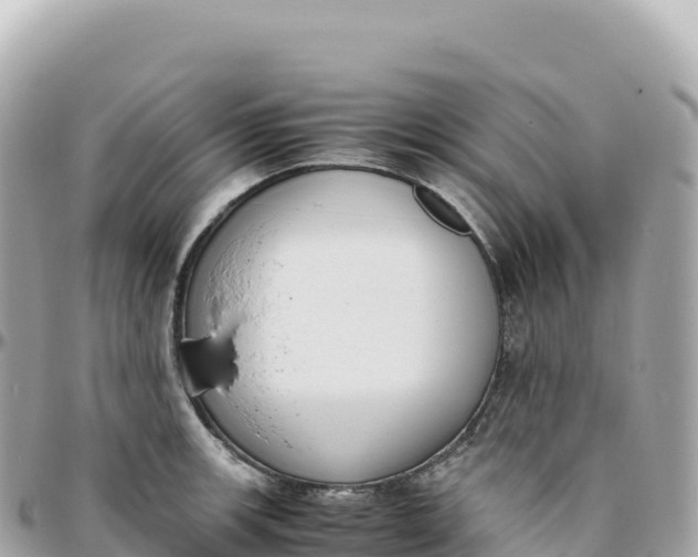 X0000095891139200801251156