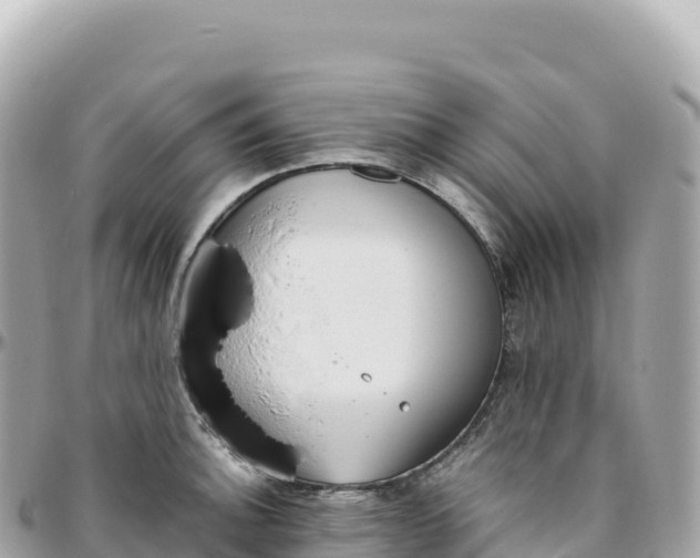 X0000095891140200801251156