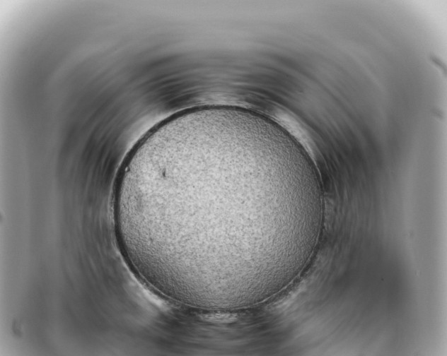 X0000095891141200801251156