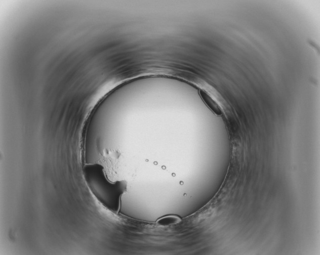 X0000095891143200801251156