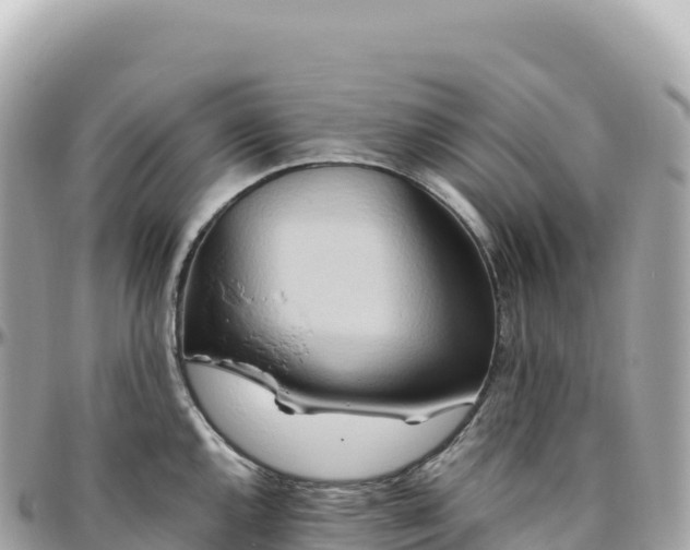 X0000095891144200801251156