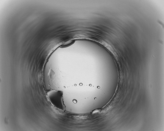 X0000095891145200801251156