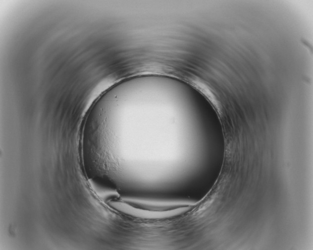 X0000095891146200801251156