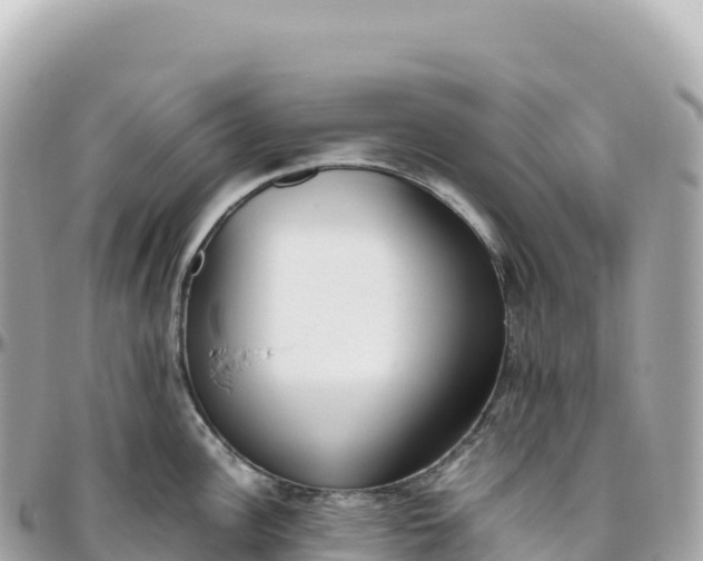 X0000095891148200801251156