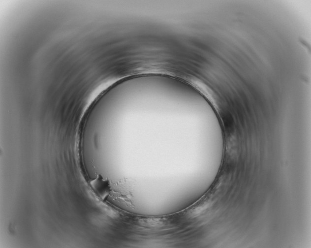 X0000095891149200801251156