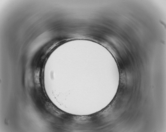 X0000095891150200801251156