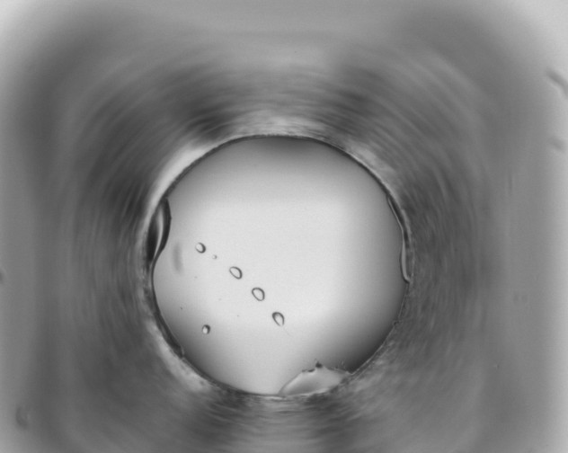 X0000095891152200801251156